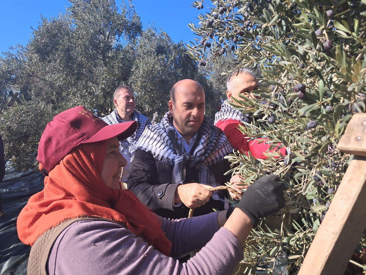 AkhisarKaym's tweet photo. Zeytinin Başkenti Akhisar

14 milyonu aşan zeytin ağacı ile ülkemizin sofralık zeytin ihtiyacının %70’ini karşılayan Akhisar ilçemizde zeytin hasatına katıldık. https://t.co/88PZtRpEh4