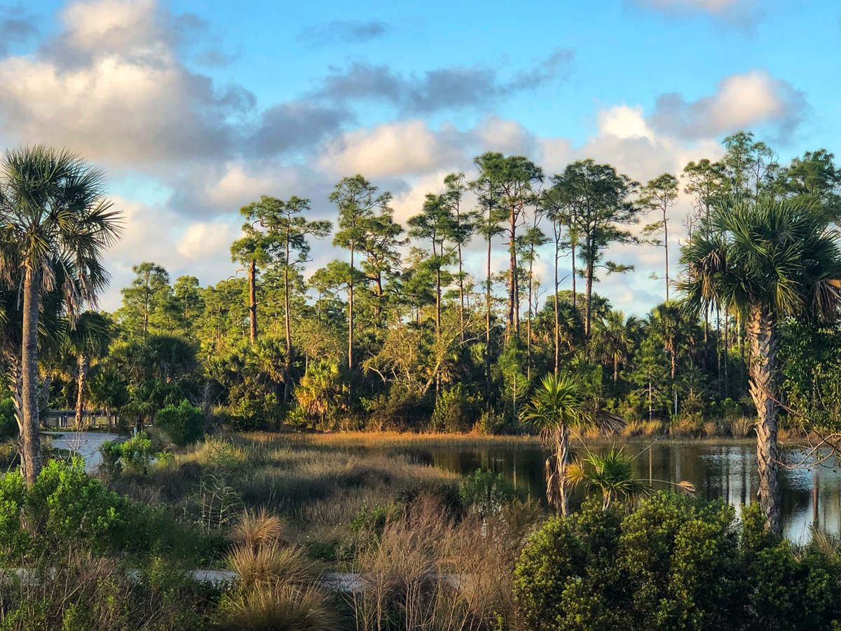 Level4Realtor's tweet photo. The case, closely watched by business and environmental groups, stems from a 2020 federal decision to shift permitting authority to the state for wetland projects. https://t.co/hWKJbO9usa https://t.co/TTr75sbuwj