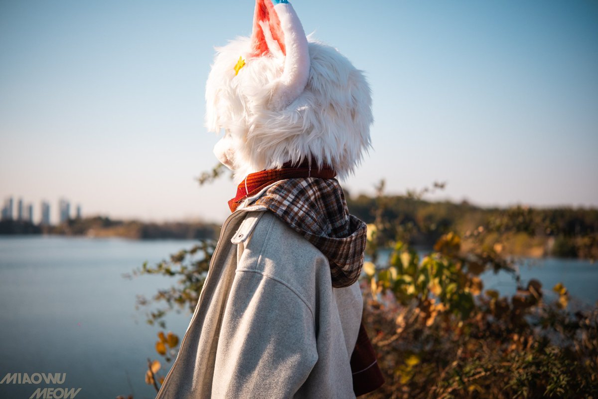 小猫会在阳光下发光哦
Kittens glow in the sun.
