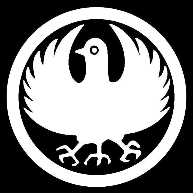 El logo dorsal que lleva el protagonista de Project Century en su happi, representa a Yatagarasu (八咫烏):  un cuervo mítico y dios guía en la mitología sintoísta