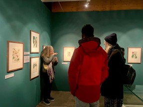 RBGE Creative Programmes (@rbgecreative) on Twitter photo Join us for a BSL tour of Ash Rise on 12 January, led by Trudi Collier.
📅Sunday 12 January
🕓 2pm -3pm
📍 John Hope Gateway Gallery
🎟️ £5
BSLTourAshRise.eventbrite.co.uk
<a href="/TheBotanics/">Royal Botanic Garden Edinburgh</a> Join us for a BSL tour of Ash Rise on 12 January, led by Trudi Collier.
📅Sunday 12 January
🕓 2pm -3pm
📍 John Hope Gateway Gallery
🎟️ £5
BSLTourAshRise.eventbrite.co.uk
<a href="/TheBotanics/">Royal Botanic Garden Edinburgh</a>