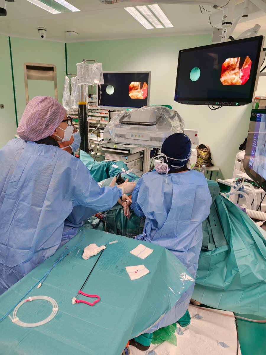 GuidoGiusti's tweet photo. Yet another #ETCE event endorsed by @ROCAMED_SAM @rocamed with colleagues coming from all over our beautiful country 🇮🇹… 2 #SBES, 1 multi access #supinePCNL, 1 ureteroscopic incision of iatrogenic ureteral stenosis with #SIRIUS #TFL laser , #TFLOW & #BIFLEX ureteral sheaths as main protagonist… to succeed in #endourology experience is needed but also good technology and complete armamentarium is required … and most importantly a supportive team as mine is!