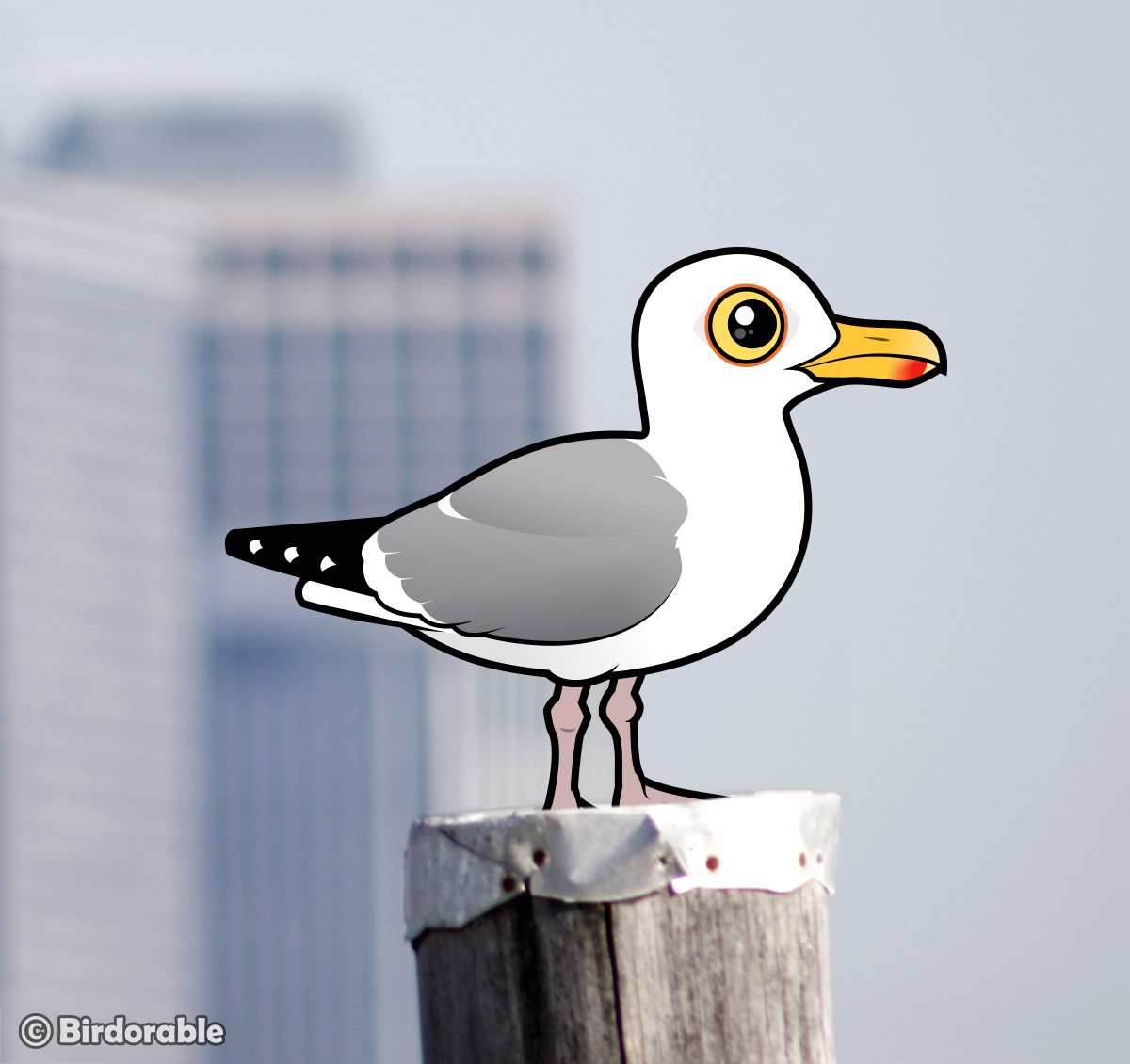 Did you know Herring Gulls have a clever trick for cracking open clams? They drop them from high up onto rocks or roads to get to the tasty treat inside. Now that’s some impressive problem-solving! 💡 Have you ever seen a bird do something that clever?