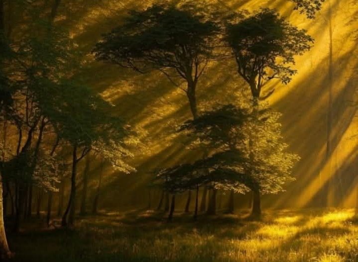 نيثي ماه انا … لا طيتُ فيها لعان 🤲🏻🤲🏻