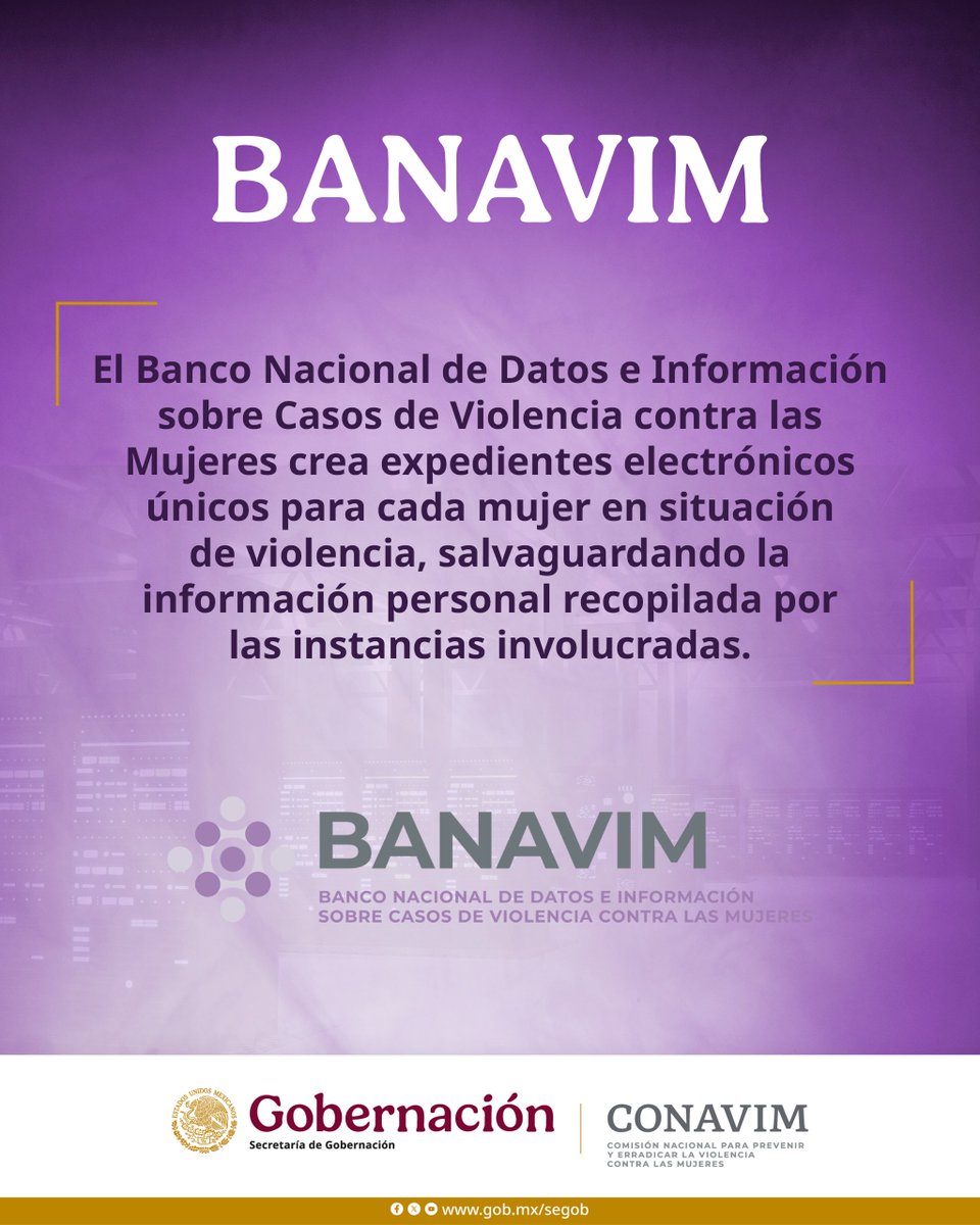 El Banco Nacional de Datos e Información sobre Casos de Violencia contra las Mujeres (BANAVIM), es una fuente de información valiosa para el diseño de políticas públicas.