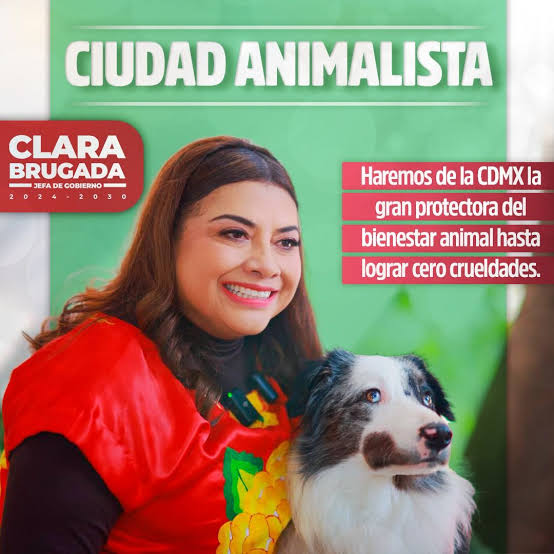 YoAmoaLaCiencia's tweet image. Mueren animales electrocutados en zoológico de la CDMX
La reciente muerte de dos mapaches en el Zoológico de San Juan de Aragón se debió a una descarga eléctrica en su bebedero, ocasionada por una defectuosa instalación de un equipo de bombeo de agua.
Investigaciones de los…