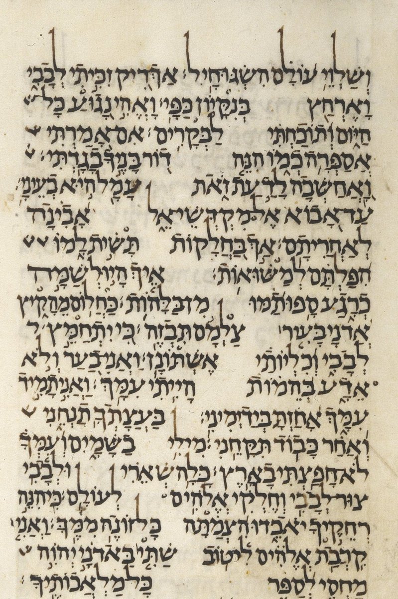 Ari E-B, federation rabbi. 🔯🖖 (@Trek_Rav) / Posts / X