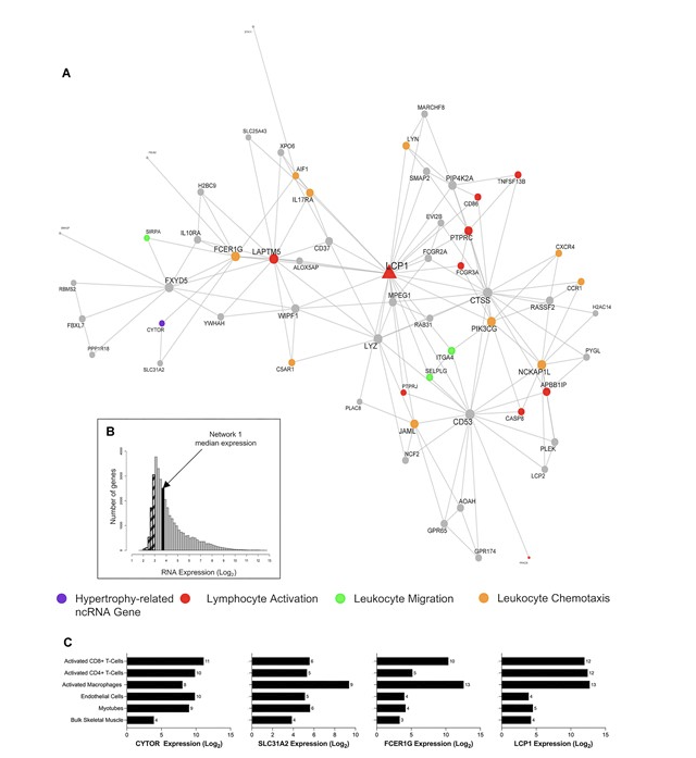 Jonathan Mcleod tweet media