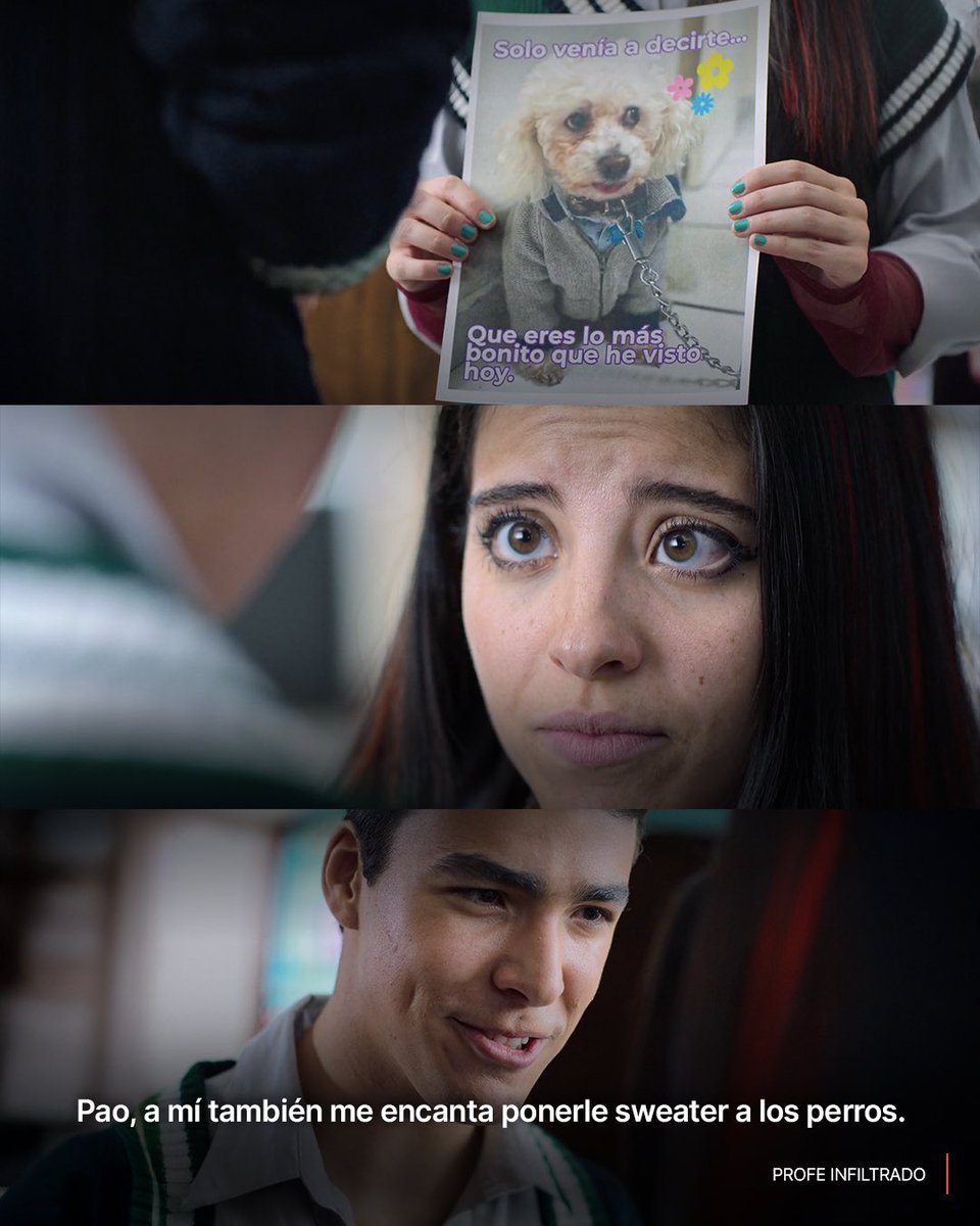 VIX's tweet photo. Cuando por fin me animo a declararle mi amor. 🥹
Él:
#ProfeInfiltrado #Series #ViX https://t.co/O1306IhVIf