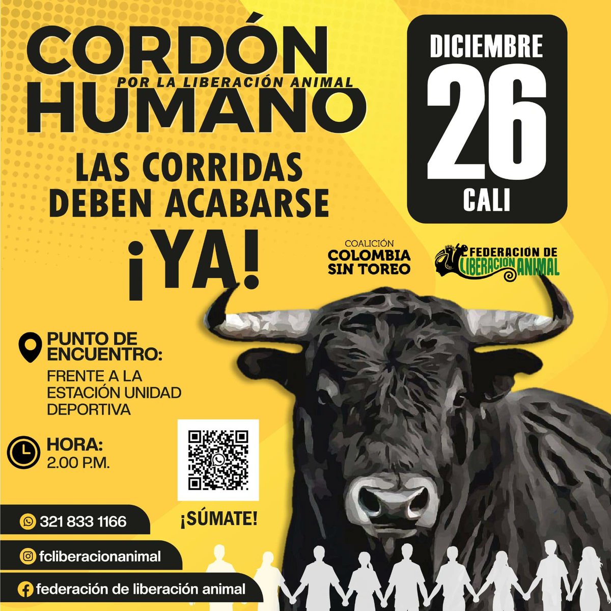 fdlanimal's tweet photo. 📣 ¡A pocos días del CORDÓN HUMANO!
El mandato popular se debe respetar. Las corridas de toros que promocionan para diciembre deben detenerse. 

La ley aprobada en el congreso de la republica es la exigencia de más del 92% de la población caleña que rechaza el toreo. 1/2🧶 https://t.co/H1FgdAubbD
