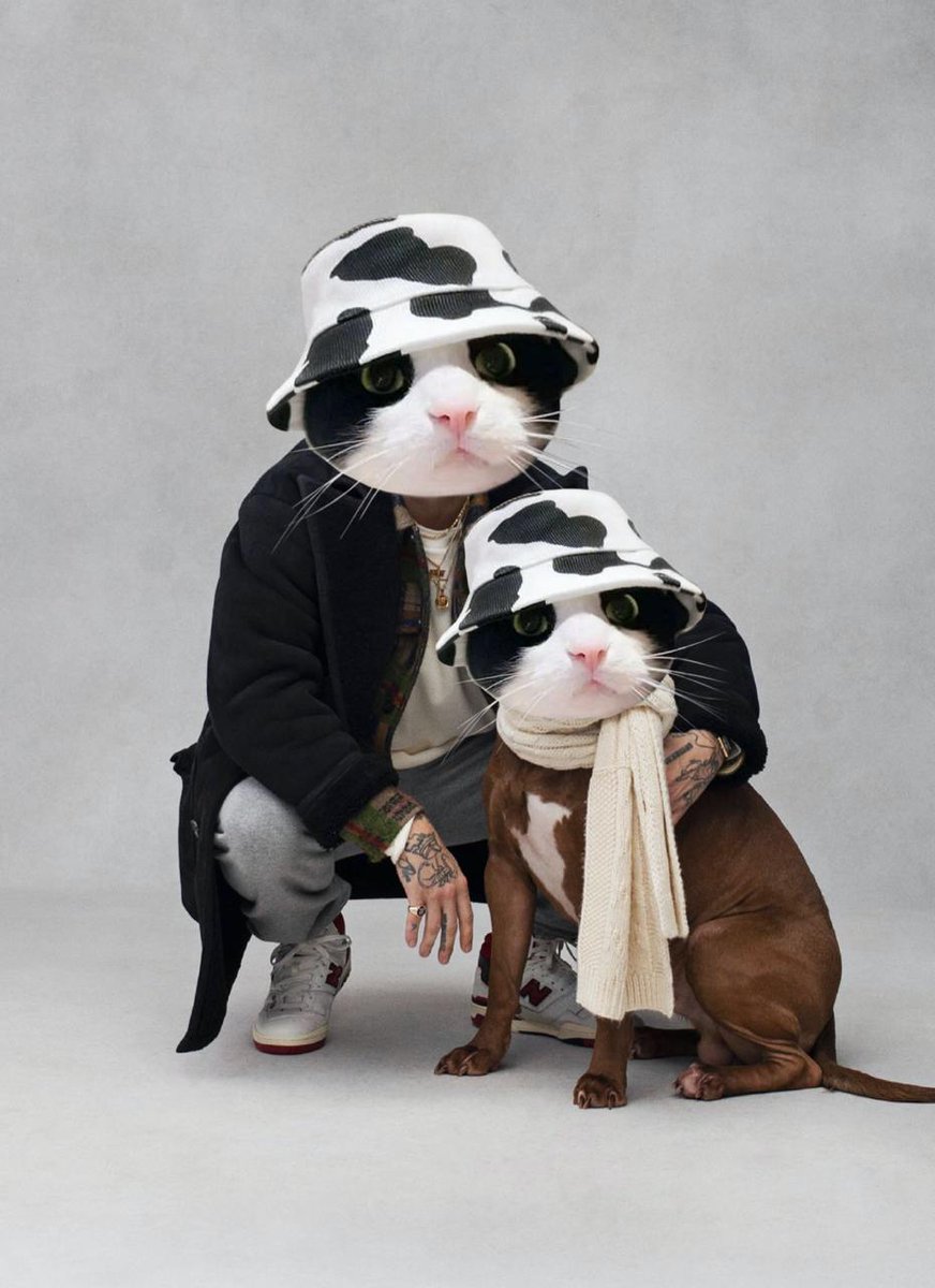 A man's best friend: $MooCat