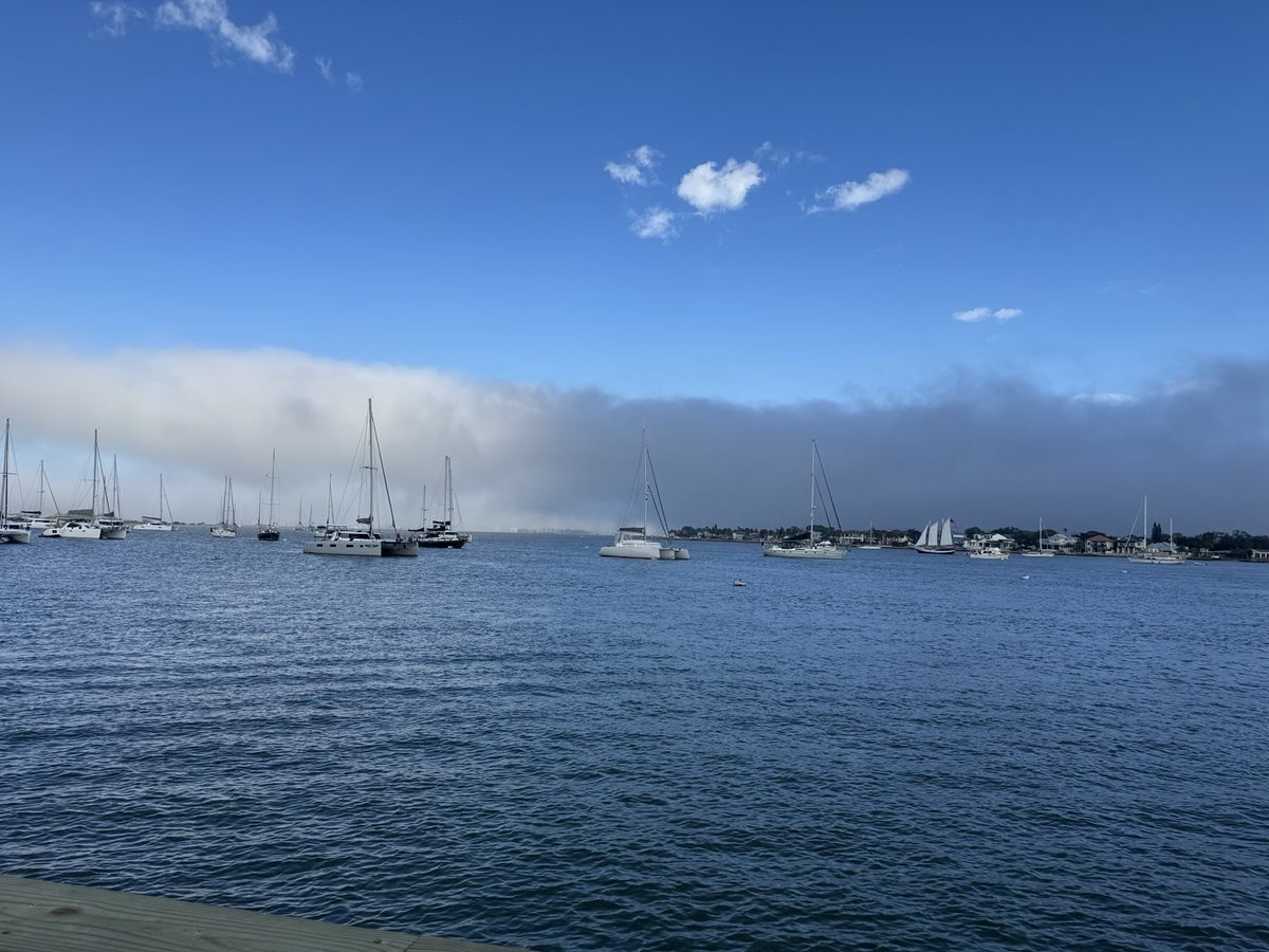BeatConstraints's tweet photo. Believe it or not, this is fog rolling into downtown St Augustine today - not my old home of San Francisco https://t.co/akR2ZtYF5G