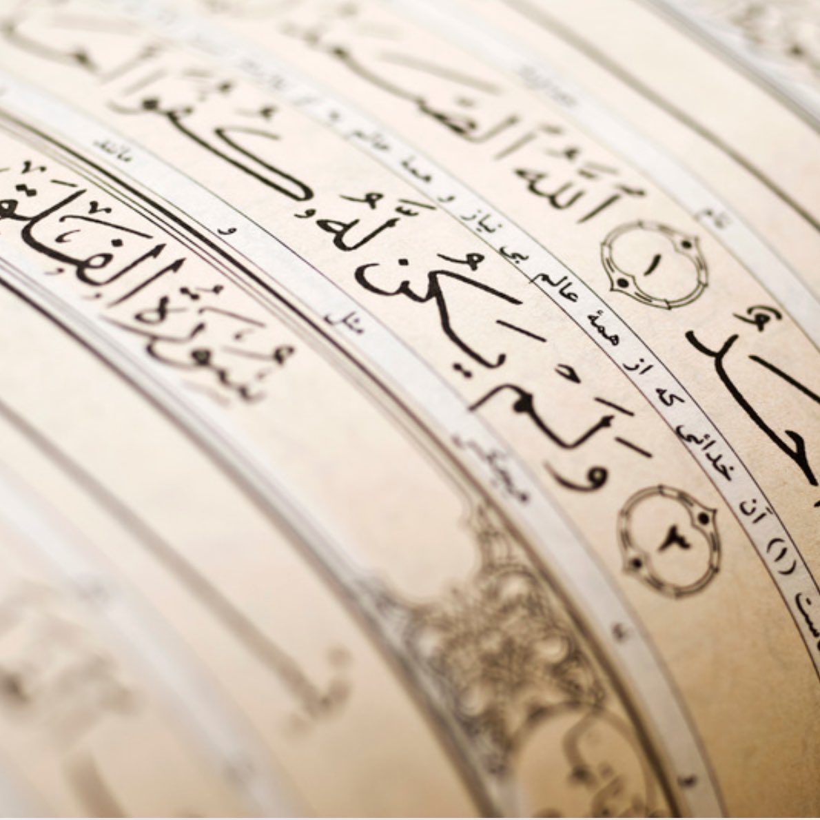 Kardeşlerim sizden ricam 1 İhlas Suresi okuyun ve bu gönderiyi paylaşın.

Adınızı da yorum bölümüne yazın.

Biz o İhlas Surelerini şefaatçi yaparak 2 gece Teheccüd vakti size dua edeceğiz.