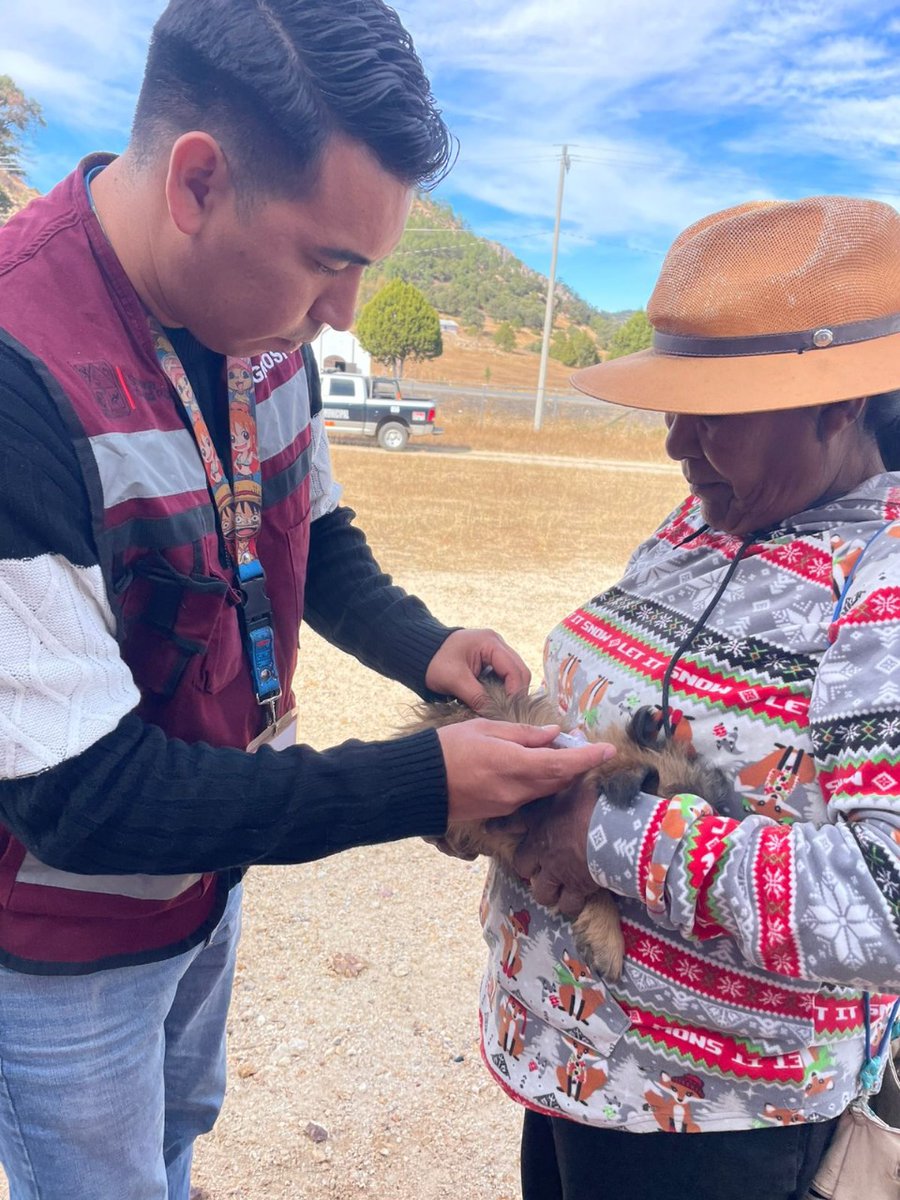 ssaludsonora's tweet photo. 🐶🐱💉 #DistritodeSalud04 | Aplican vacunación antirrábica canina y felina casa por casa en la comunidad de Maycoba y Kipor en el municipio de Yécora.

#SaludSonora https://t.co/ULKcqdkscf