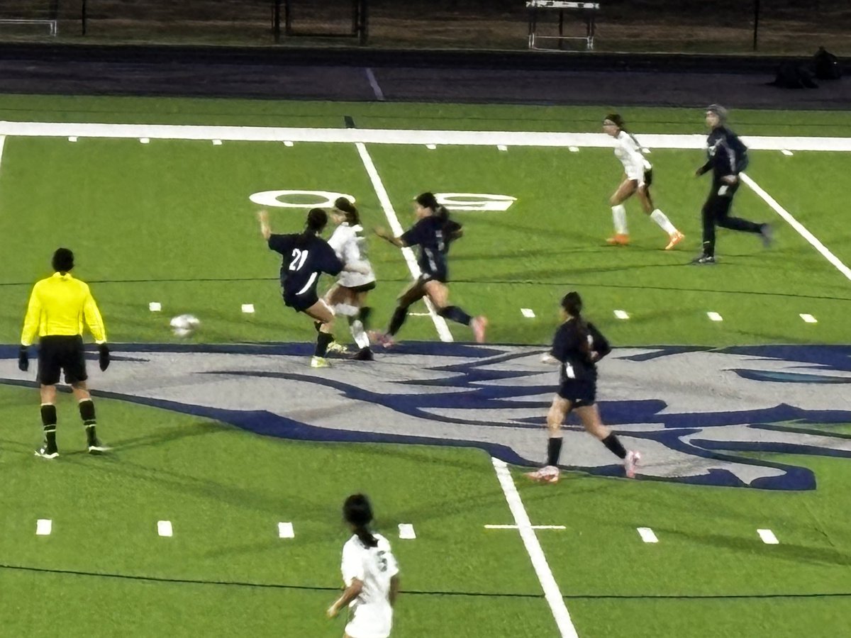 RHSLadyWolvesVBall tweet media