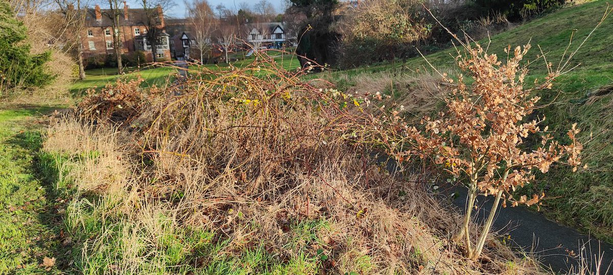 Edgar's Field Park tweet media