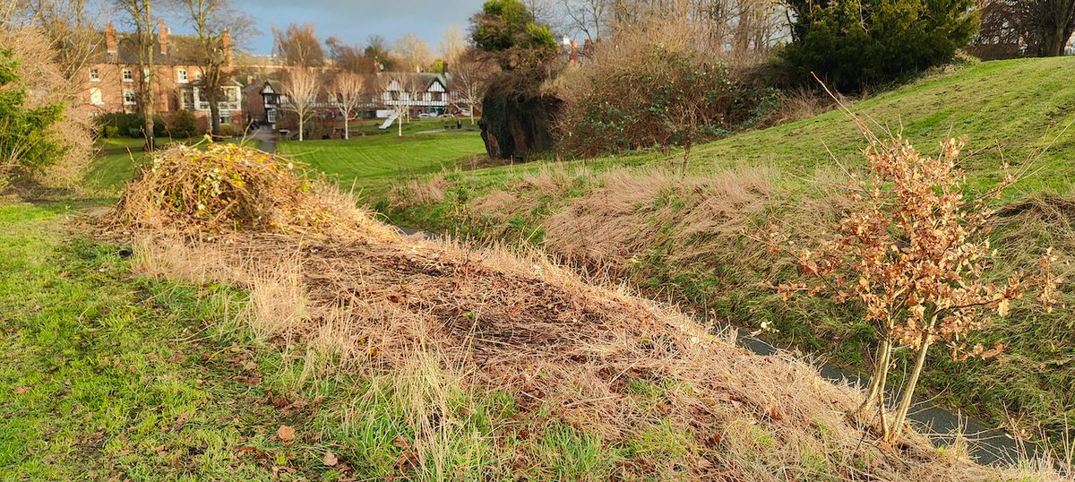 Edgar's Field Park tweet media