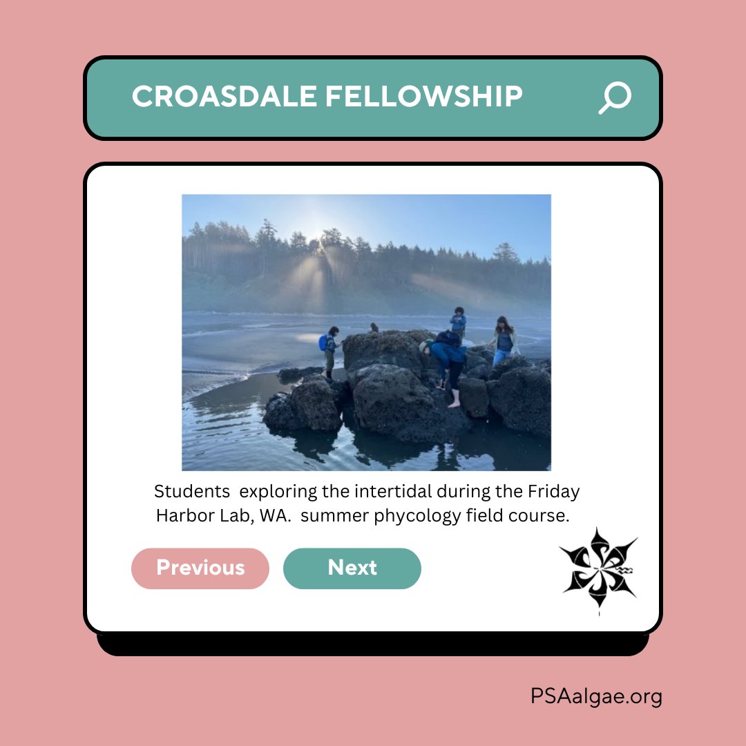 Are you a graduate student who wants to get phycological training at a field course?

The Croasdale Fellowship can help defray the costs of attending phycology courses at biological field stations!

Applications due  January 1st, 2025.

Application link: psaalgae.org/croasdale-award