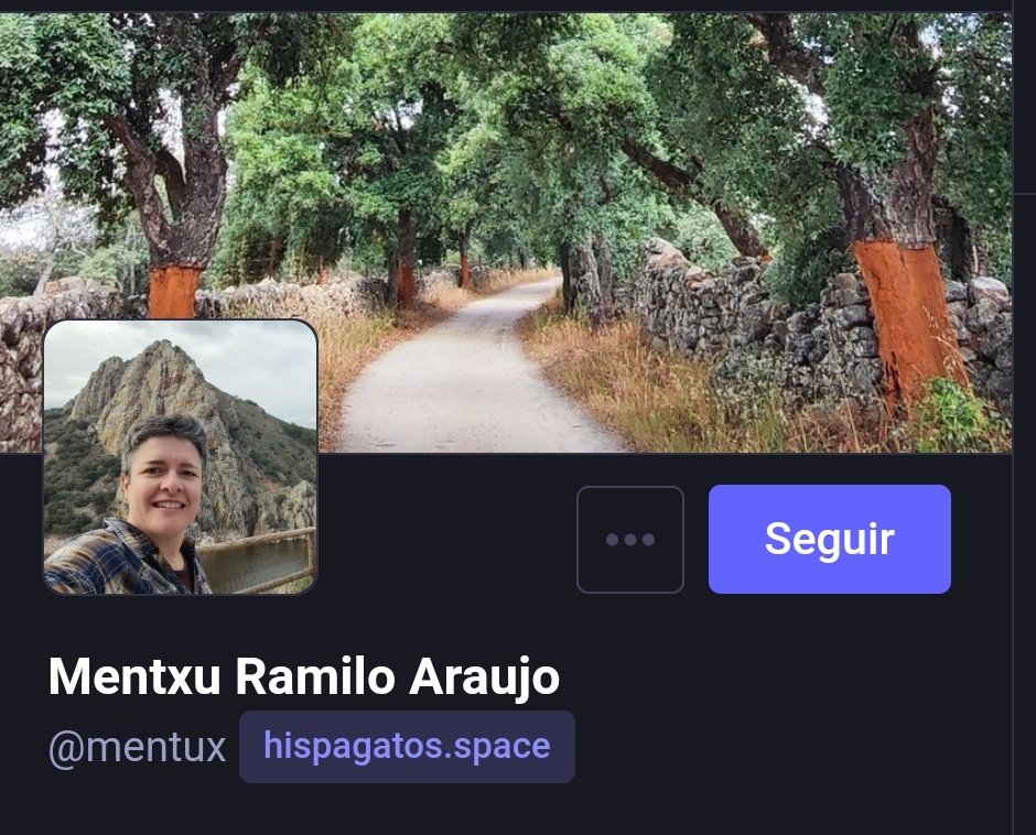 mentxuwiki's tweet image. Me retiro de X
Nos vemos en Mastodon 
hispagatos.space/@mentux