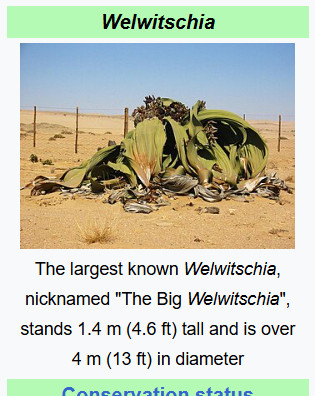 I can only aspire to such levels of creativity as this