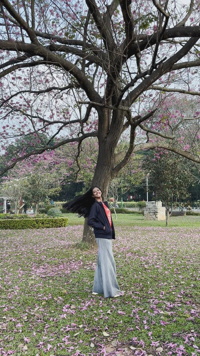 VBcodes's tweet image. Sakura vibes @ Cubbon 🌸 w oomfies
Thanksss @pathikghugare for the midweek blooms!