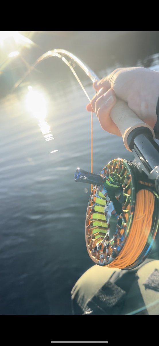 KingfisherGuide's tweet photo. December on the float tube! #rainbowtrout #rainbowtroutflyfishing #flyfishing #flyfishingaddict #flyfishingjunkie #flyfishinglife #flyfishingonly #itonlycountsonfly #flyfishingadventures #flyfishingdaily #flyfishingday #fishing #fishinglife #fishingaddict #fishingtrip #baltic https://t.co/xoZr07ImUj