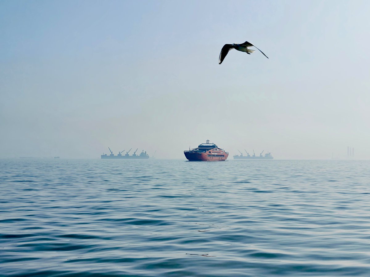 🆂🆁🅳 tweet media