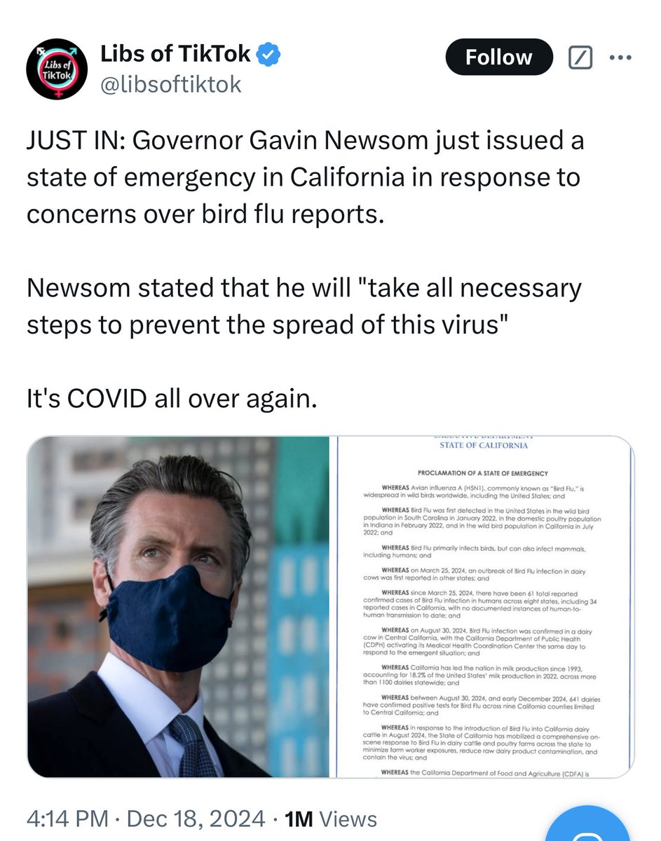 Libs of TikTok tweet media
