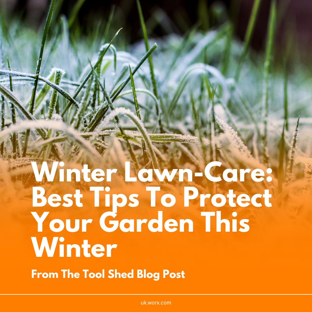 Don't let the frost freeze your gardening goals! ❄️ Keep your lawn thriving throughout winter with our super handy guide: bit.ly/3Fj00pO