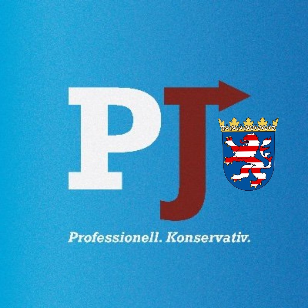 PJ_Hessen's tweet photo. Auch als Jugendverband ist uns #Professionalisierung sehr wichtig! Daher nun unser neues offizielles Logi als Jugend der #AfD https://t.co/klknObV4Hx