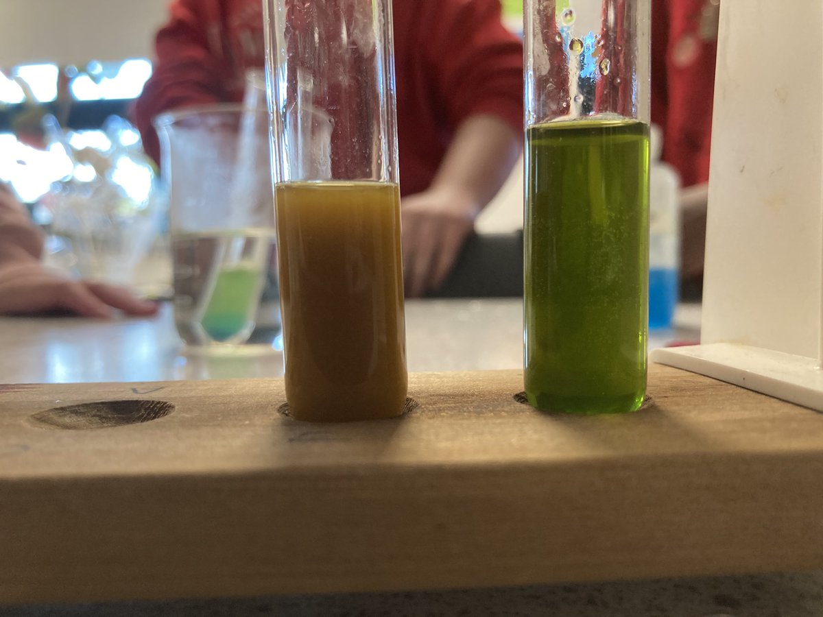 MillburnScience tweet media