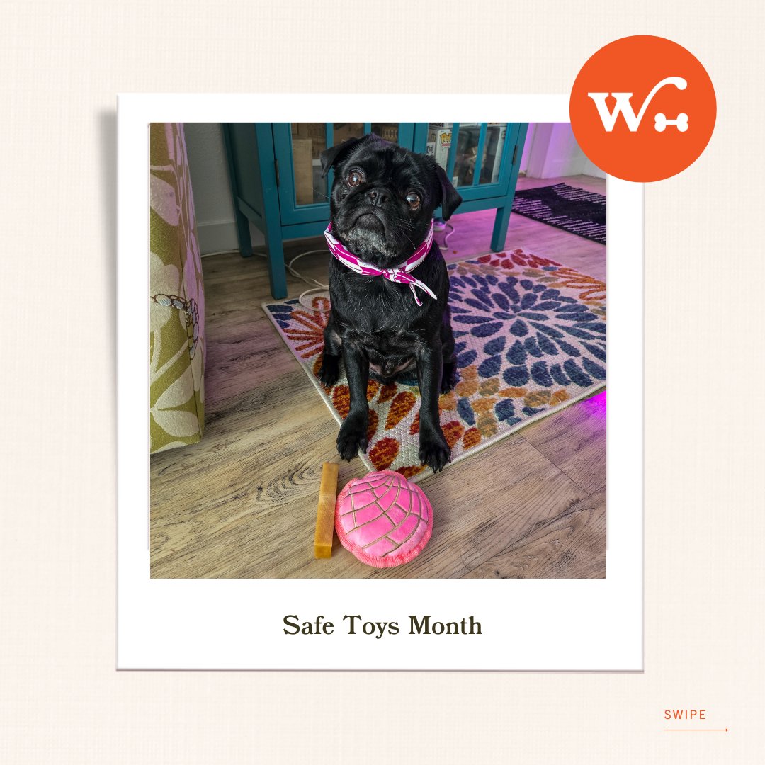 Wishbone_Pet's tweet photo. 🐾 December is Safe Toys Month—your pets deserve playtime that’s fun AND safe! ✨

At Wishbone, we’re here to help you keep your pets happy, healthy, and safe—because your best friend deserves their best life. 🐶🐱

#SafeToysMonth #WishboneWellness #PetCareTips #HappyHealthyPets https://t.co/UaOPMtUzFZ