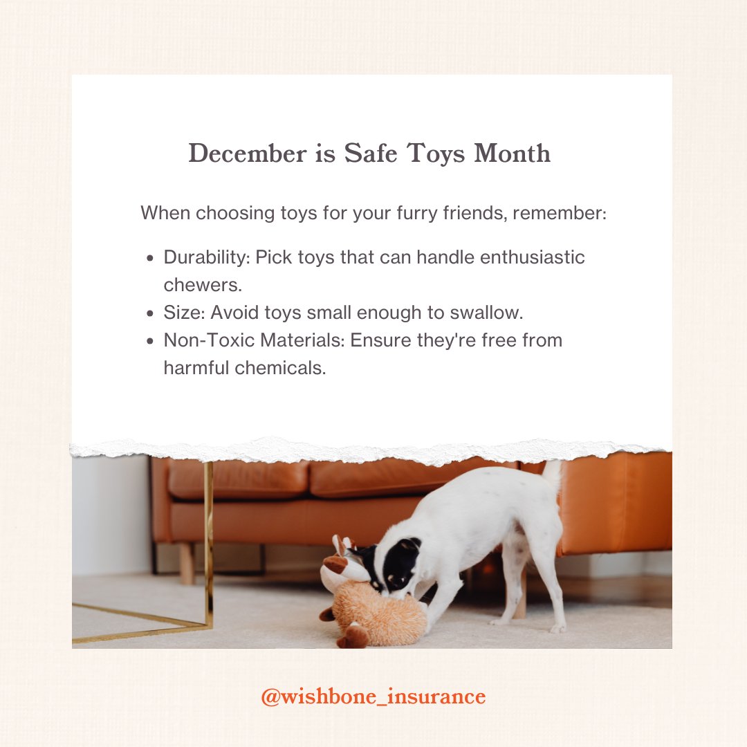 Wishbone_Pet's tweet photo. 🐾 December is Safe Toys Month—your pets deserve playtime that’s fun AND safe! ✨

At Wishbone, we’re here to help you keep your pets happy, healthy, and safe—because your best friend deserves their best life. 🐶🐱

#SafeToysMonth #WishboneWellness #PetCareTips #HappyHealthyPets https://t.co/UaOPMtUzFZ