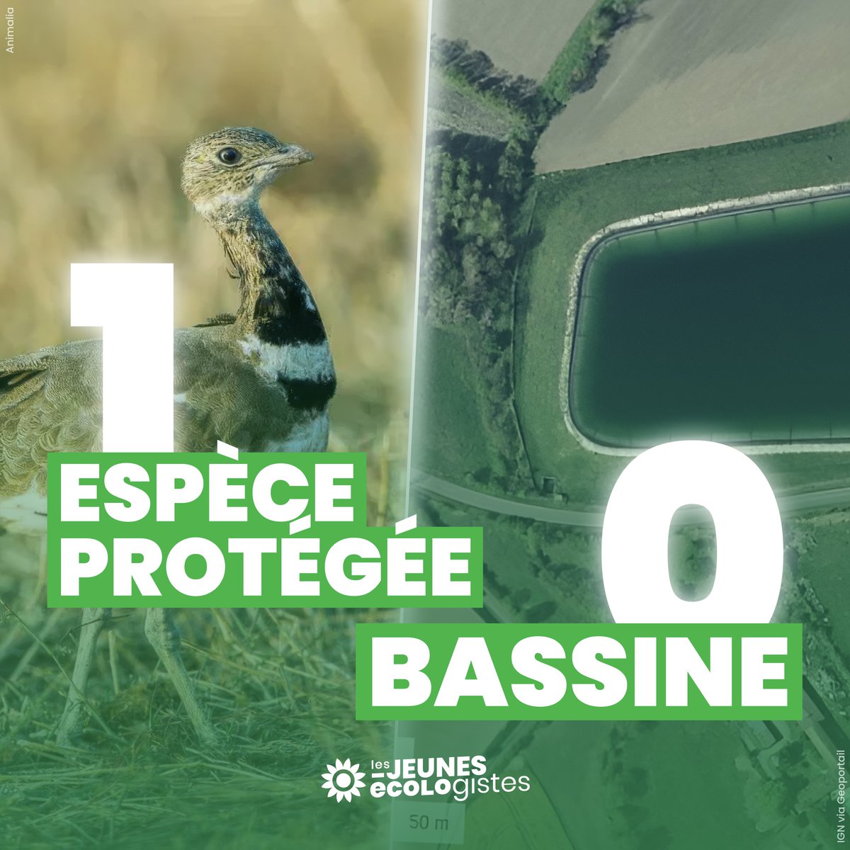 🟢 Victoire !

La justice a annulé l’autorisation
environnementale de 4 mégabassines, dont celle de Sainte-Soline car elles menacent l’habitat de l’outarde canepetière, un oiseau menacé par l’agriculture intensive.

Contre les bassines, partout, le combat continue !