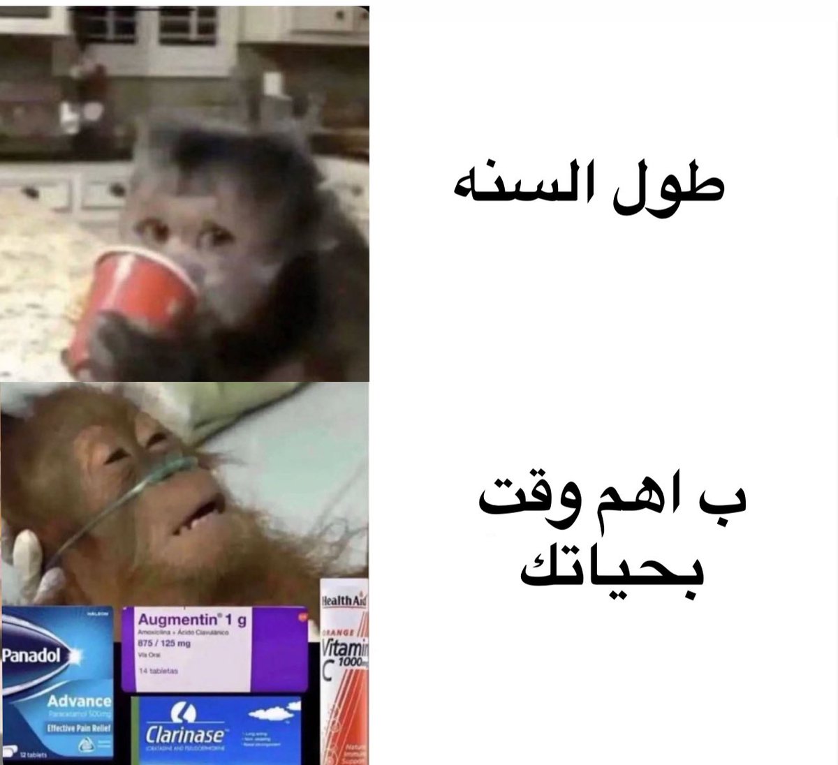 Arab Memes (@arabmemesss) on Twitter photo 