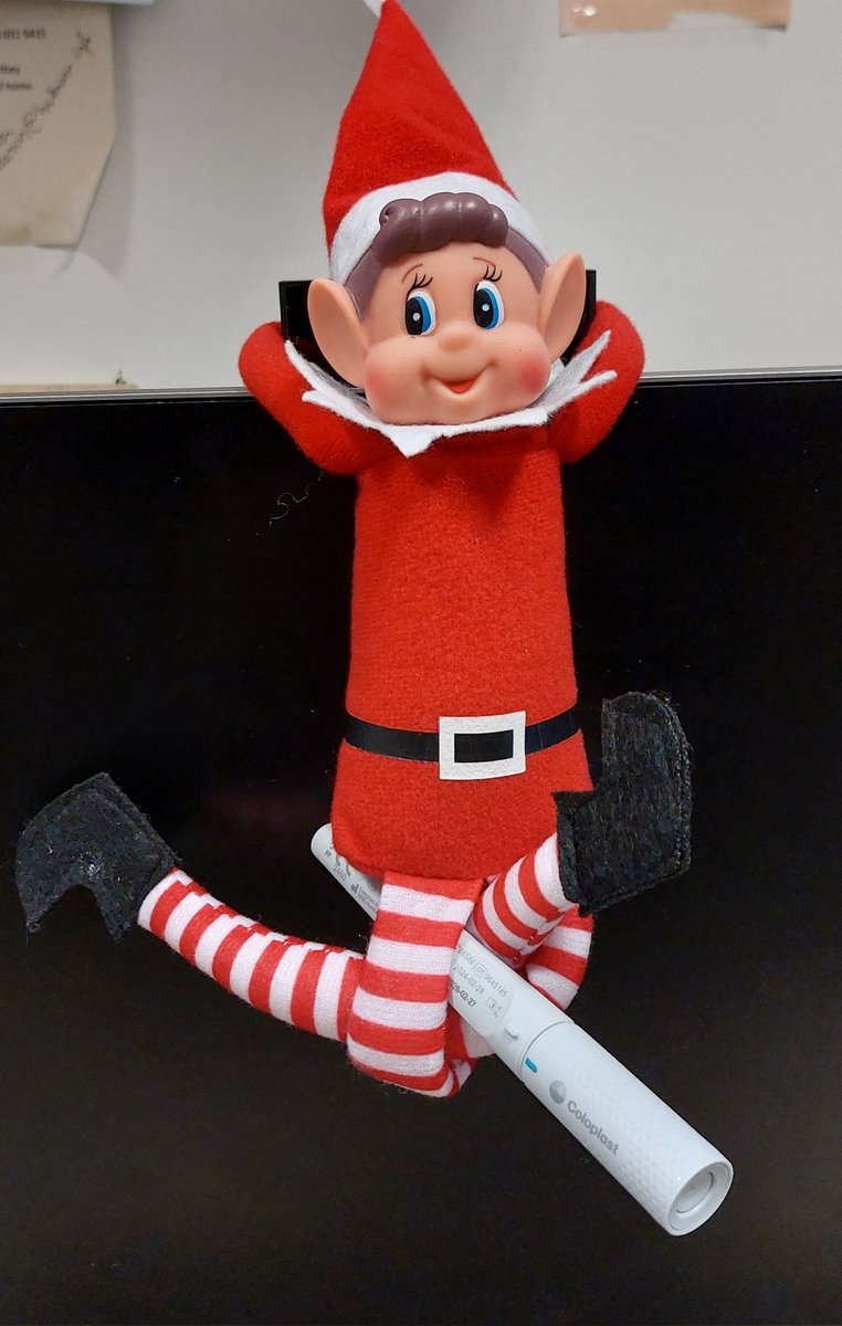 🎄 SPOTTED 👀 Tinkle has been doing his catheters today like a good little elf, keeping his bladder and kidneys healthy 👏 #urologylife #tinkletheelf