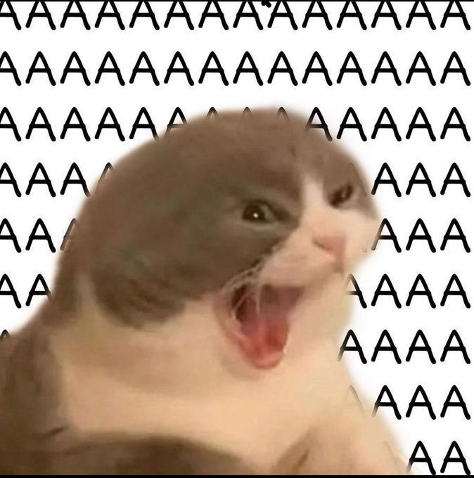 CryptoKemal's tweet photo. AAAAAAAAAAAAAAAA https://t.co/uC1Y8861JV