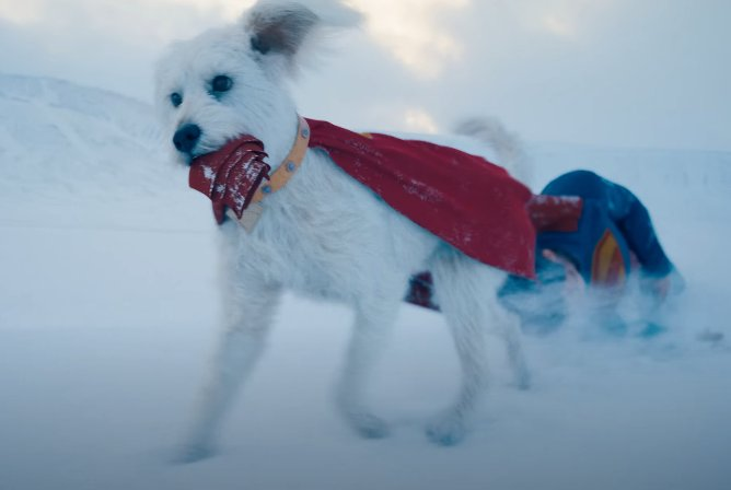 TripaTaquito's tweet photo. Krytpo de James Gunn   //   Krypto de Zack Snyder https://t.co/owvfJZTI9N