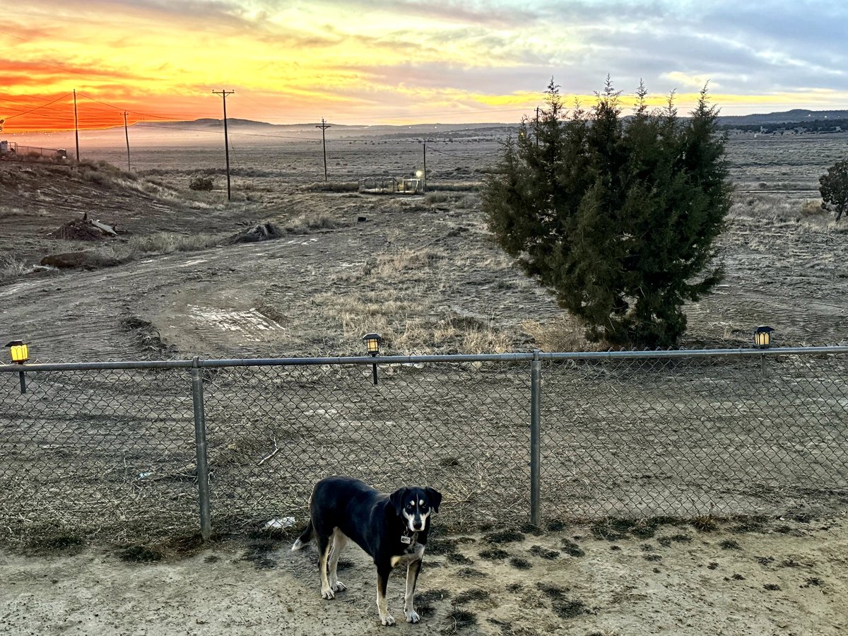 Monday Monday, so good to me… 
The school board renewed my contract today. Three more years, not what I was expecting, until June 30, 2028. Just saying 2028 seems like so far into the future.