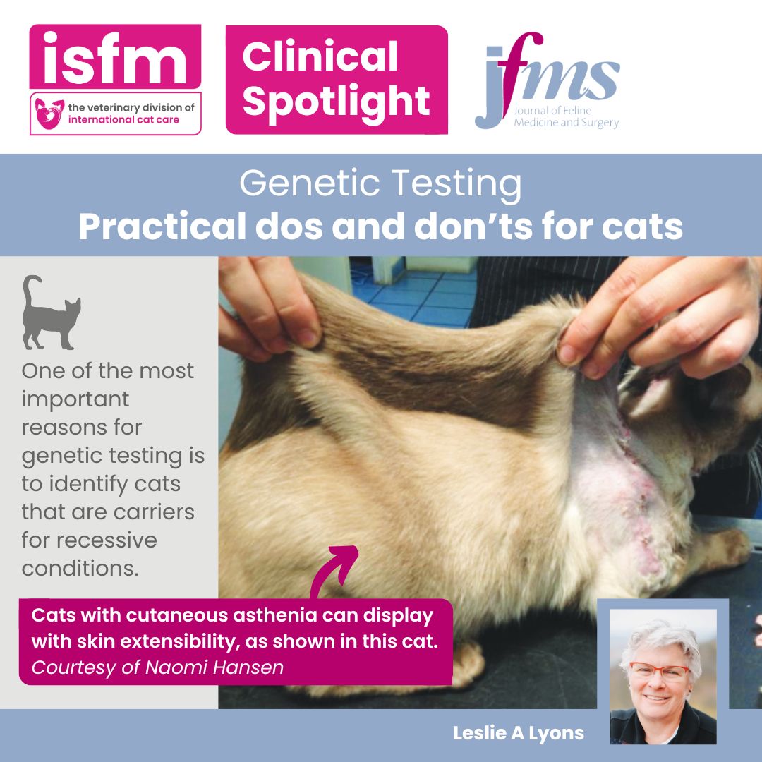 Leslie Lyons writes our #ClinicalSpotlight article this month on ‘Genetic testing: practical dos and don’ts for cats’. Read it for free and online via #JFMS 👉 go.jfms.com/genetic_testin…

Catch Leslie on the upcoming episode of #ISFMchat 🎧

#JFMSnews
