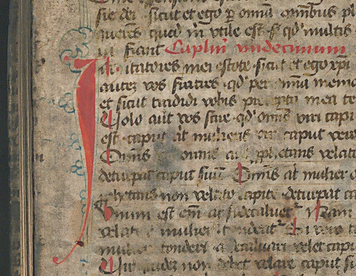 Quite an elegant hand had the scribe who wrote this copy of Paul's first letter to the Corinthians! It could not prevent the MS from being recycled by a bookbinder. (<a href="/UniHalle/">Universität Halle (inaktiv)</a>, Ub 662) #fragmentology
nbn-resolving.org/urn:nbn:de:gbv…