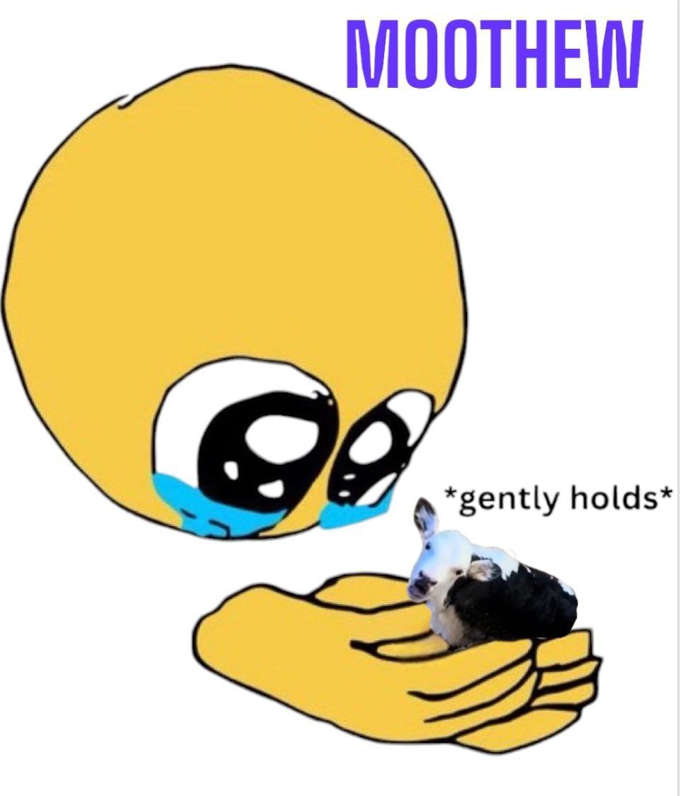 The 6 diamond handed mfs in the TG