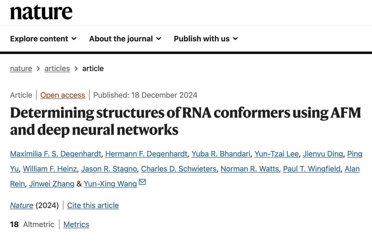Unlocking the 3D structures of RNA with machine learning and AFM

It has long been understood that RNAs—molecules essential for converting genetic instructions into functional components of life—adopt diverse and often transient shapes. These structural variations are critical to