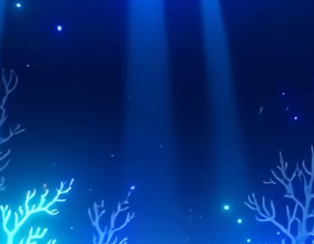 imjelli's tweet photo. Lights https://t.co/AW5OmP7OFS