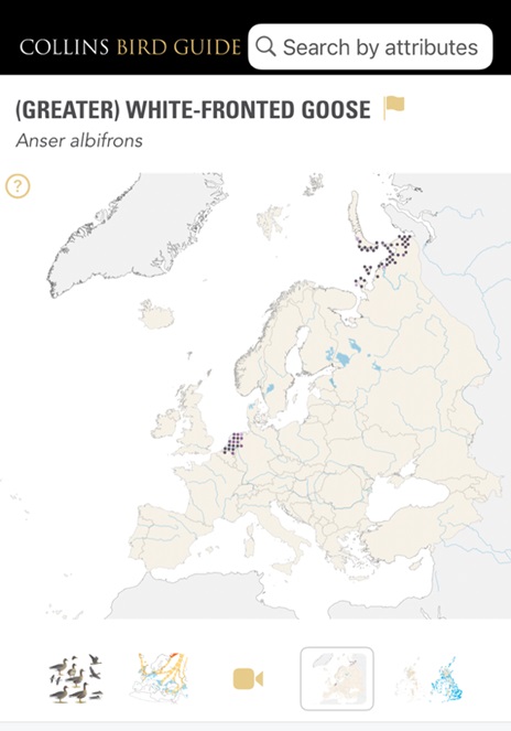 European Bird Census Council (@_ebcc) on Twitter photo 🧐Did you know?
👉<a href="/_EBCC/">European Bird Census Council</a> EBBA2 maps are now available in the Collins Bird Guide App! #ornithology
❓Do you use it on your mobile phone? 🧐Did you know?
👉<a href="/_EBCC/">European Bird Census Council</a> EBBA2 maps are now available in the Collins Bird Guide App! #ornithology
❓Do you use it on your mobile phone?
