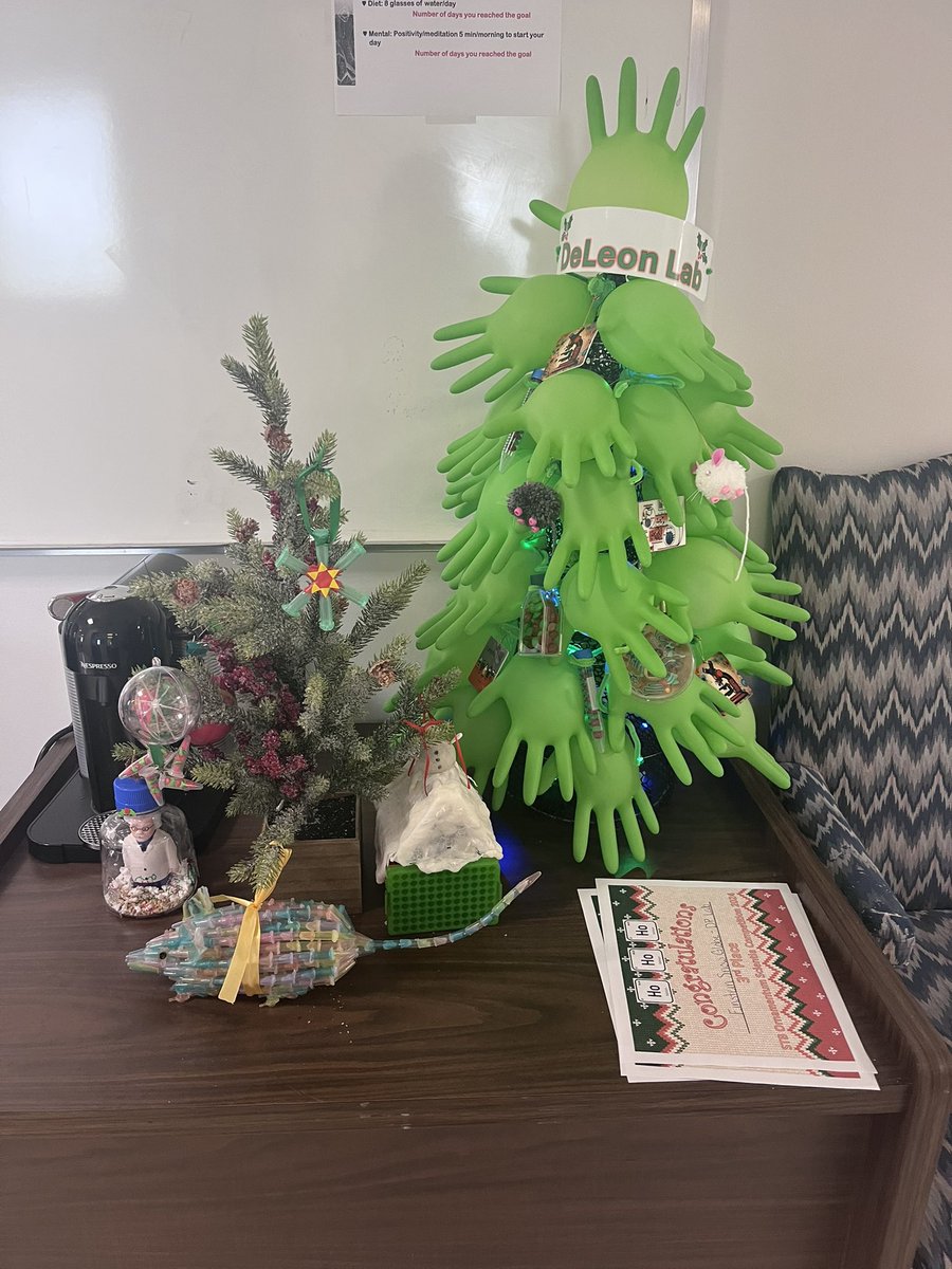 3rd Floor Annual Ornamentum Scientia was a success. All of the submissions were so creative! Congratulations to all the winners. @Jvabeusecum