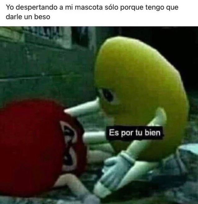 Memakker (@memakker) on Twitter photo 