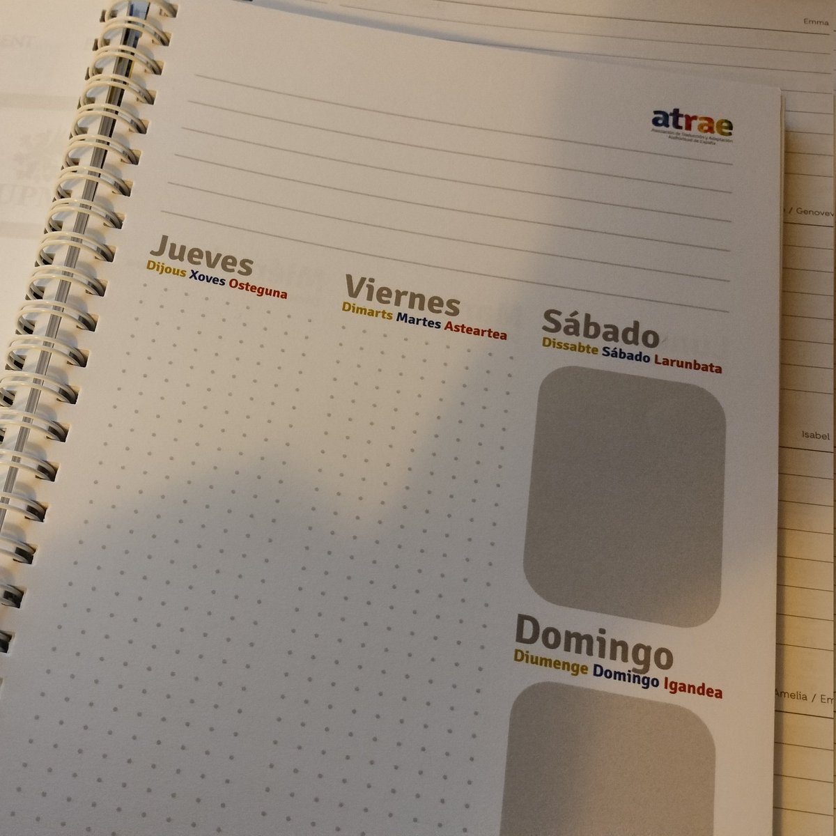 Anna Lenhardt (she/her) tweet media