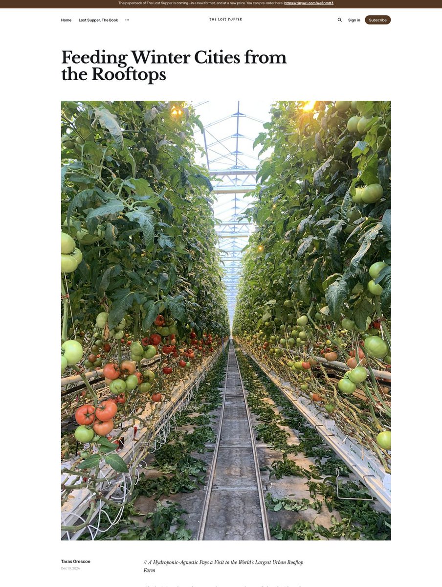 ๐๐๐ ๐ป๐๐๐ ๐๐๐๐๐๐ ๐ tweet media