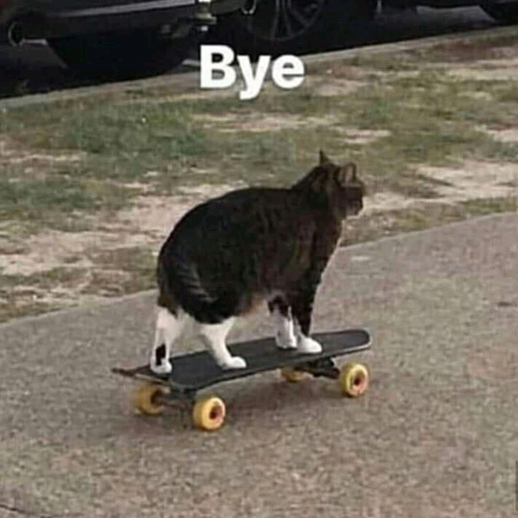 Kaede_Varg's tweet photo. Yo no me voy a meter en movidas paso de todo y de todos 
Yo solo vendo a disfrutar del rol de Reb https://t.co/jDbqS7BXOq
